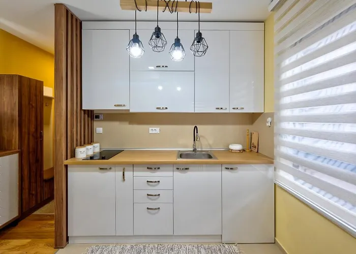 Cigulajkic アパート