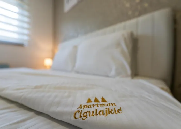 Cigulajkic アパート